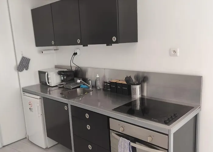 Ultra Centre De Dans Petite Copropriete 公寓 *